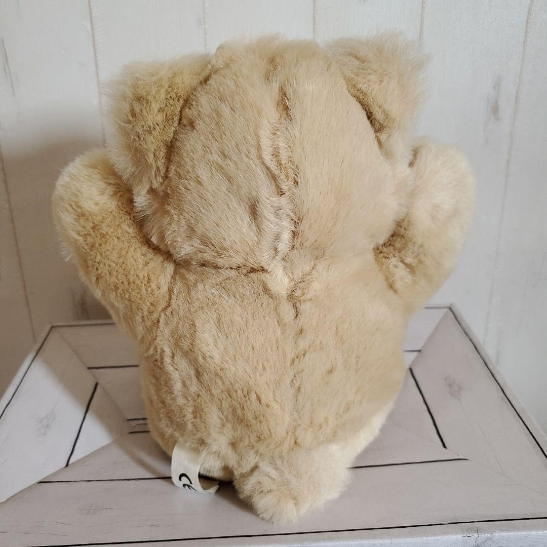 Amazon.co.jp: 【 TCC CONTINUITY HOLDINGS 】 テディベア親子